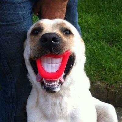 Iron et son plus beau sourire