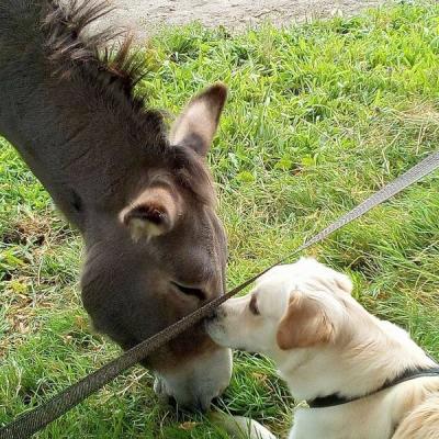 Belle rencontre...