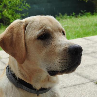 Nelson 6 mois