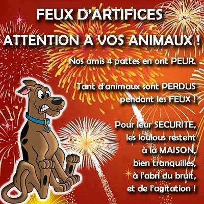 Feux d'artifices